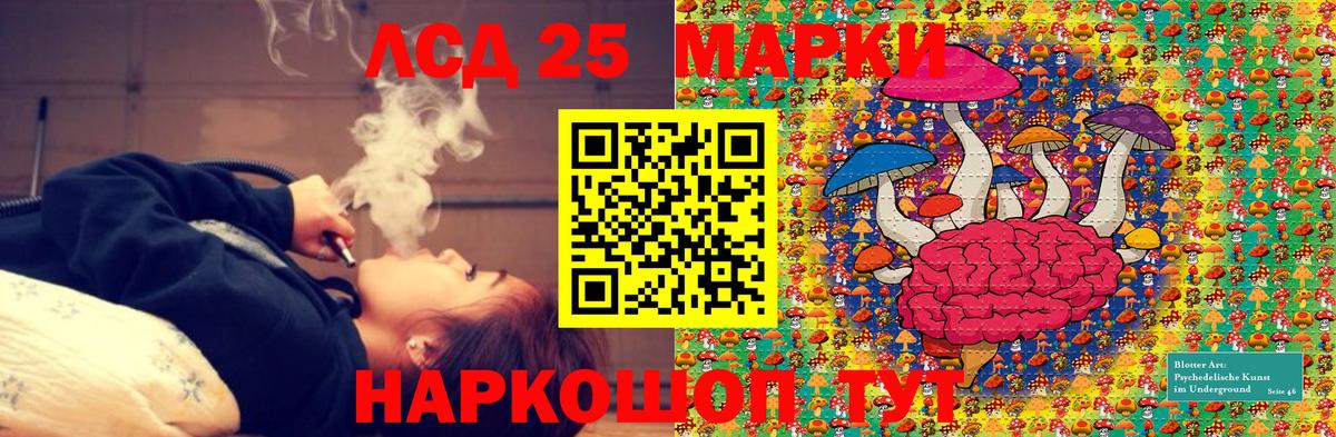 Новодвинск  Наркотические марки  Вход с VPN  Наркотические марки 1,5мг  Наркотические марки 1,5мг 