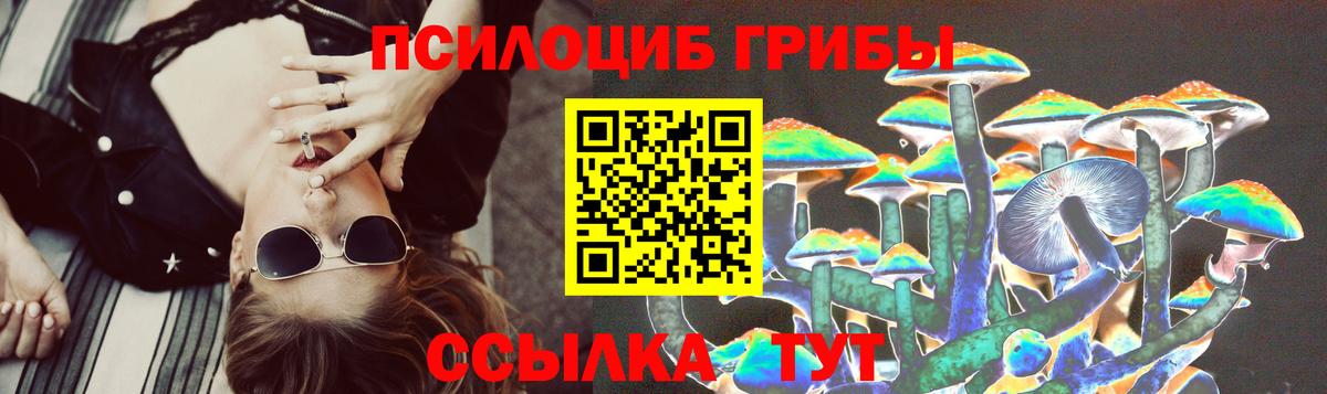 Псилоцибиновые грибы GOLDEN TEACHER  Галлюциногенные грибы Psilocybine cubensis  Новодвинск  Вход с VPN 