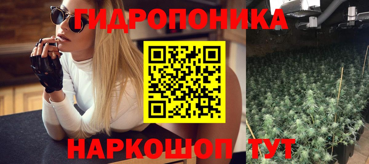 Шишки марихуана MAZAR  Бошки марихуана SATIVA & INDICA  Марихуана VHQ  Вход с VPN  Новодвинск 